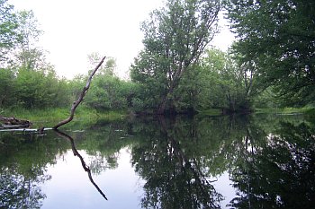 Fishing near Verona